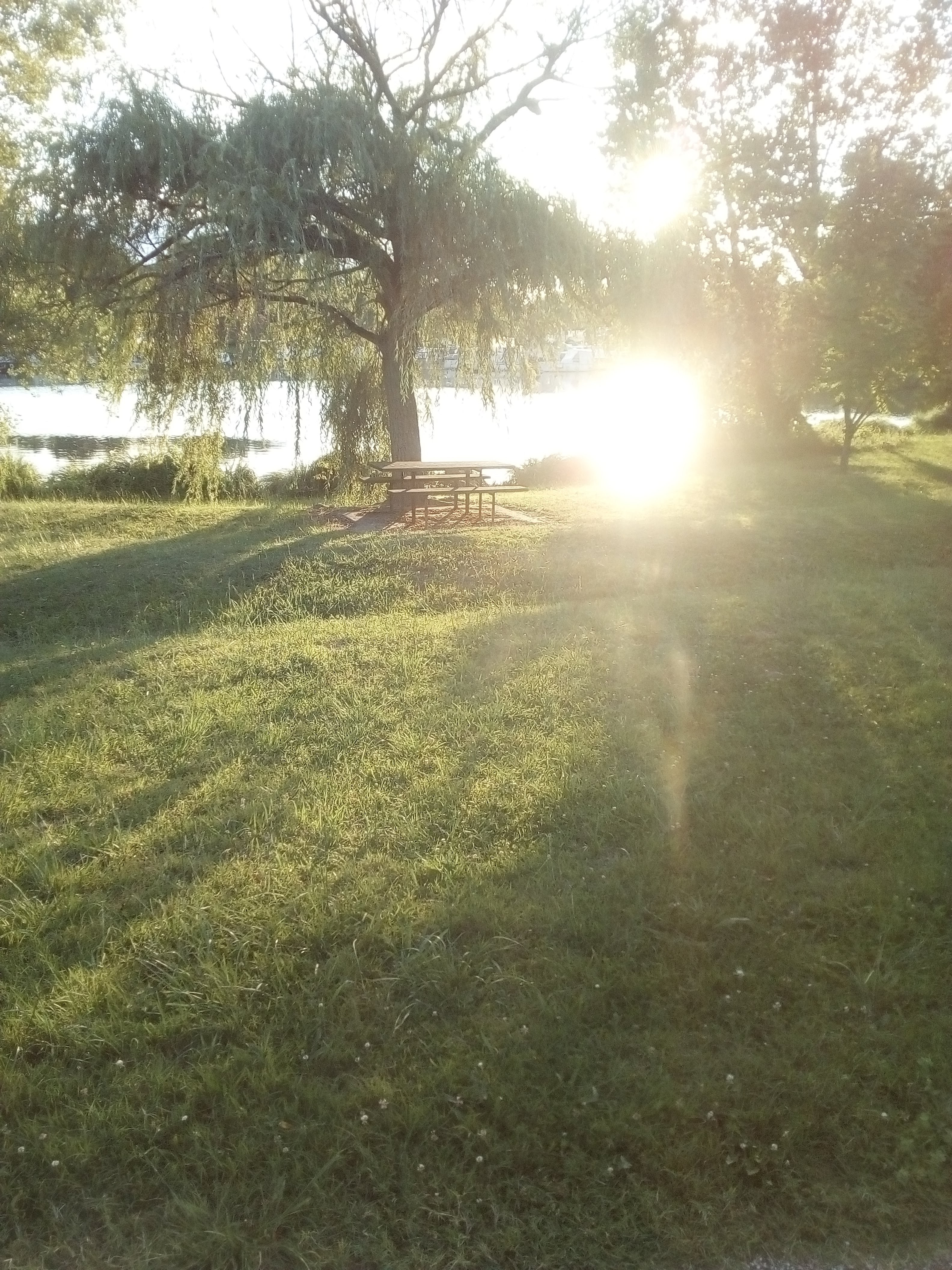 Photo n° 2 de l'avis de Pascal.s fait le 22/07/2018 à 14:11