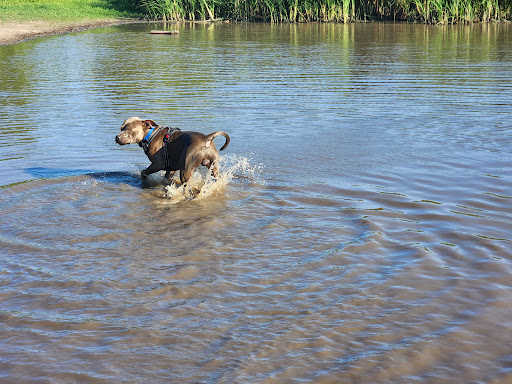 Park «Elm Creek Park Reserve», reviews and photos, 12400 James Deane Pkwy, Maple Grove, MN 55369, USA