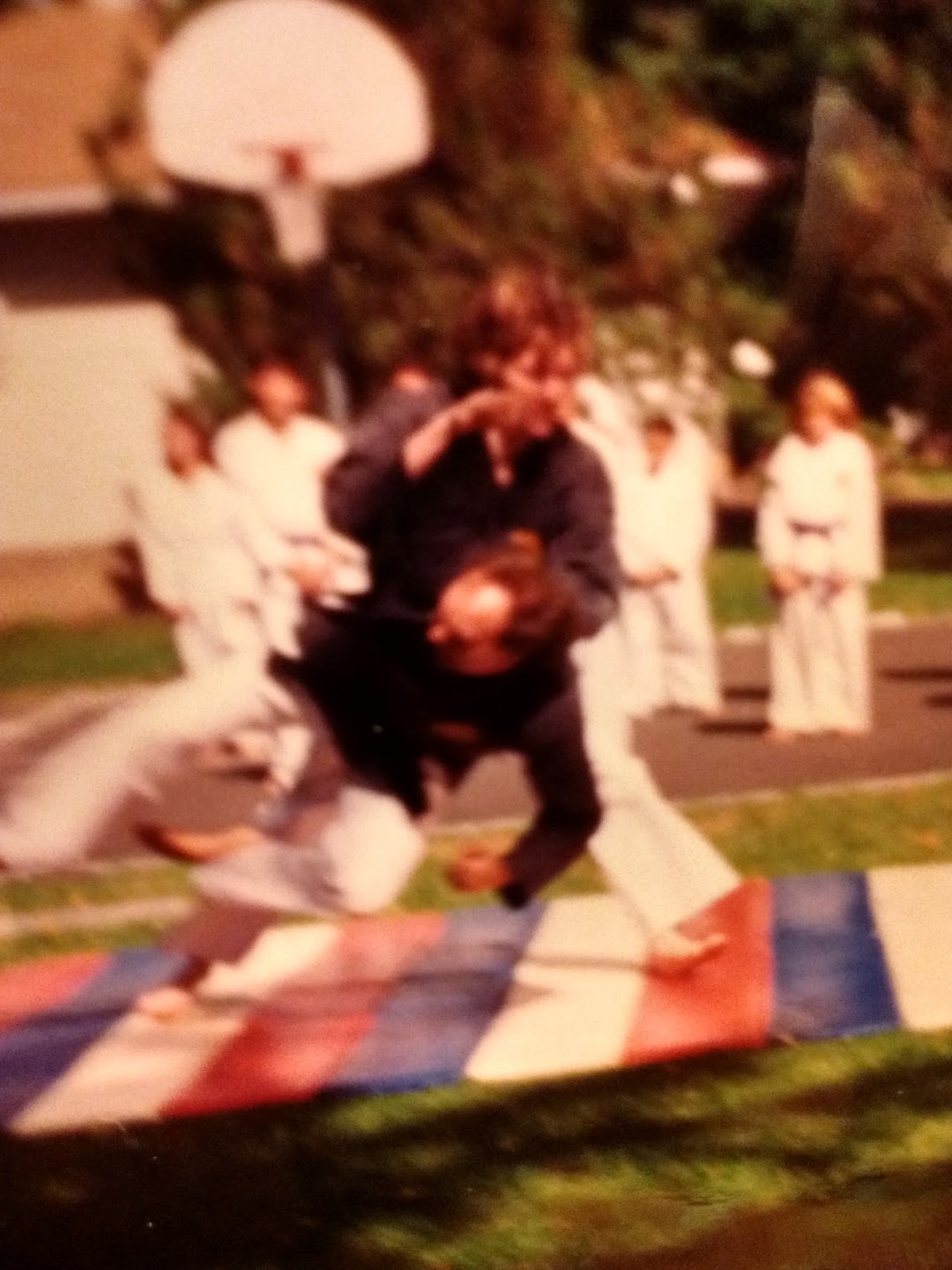Bushido Karate School