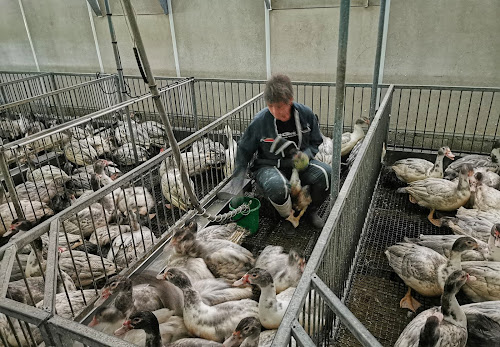 Ferme des Roumevies famille Leymarie produits fermiers du Périgord à Saint-Crépin-et-Carlucet