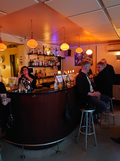 Riesen Bar in Copenhagen, Frederiksberg