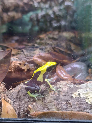 Pet Store «Birds & Beasts Pet Shop», reviews and photos, 35 Berkshire Dr # 18, Crystal Lake, IL 60014, USA