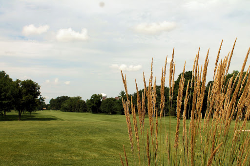 Golf Club «Golden Valley Country Club», reviews and photos, 7001 Golden Valley Rd, Golden Valley, MN 55427, USA