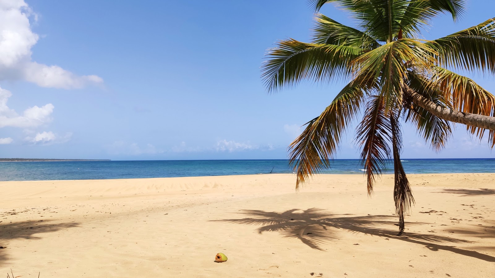 Foto van Playa Hicaco met recht en lang