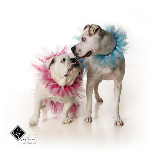 Joey Glaub Portrait Art