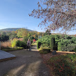 Photo n°18 de l'avis de 1946karl. fait le 29/10/2021 à 13:21 sur le  Landessportschule Bad Blankenburg à Bad Blankenburg