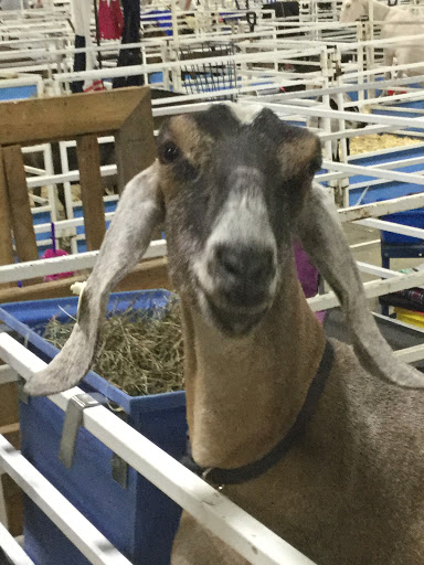 Shopping Mall «Brookside Plaza», reviews and photos, 10-38 Hazard Ave, Enfield, CT 06082, USA