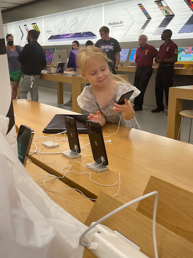 Shopping Mall «Twelve Oaks Mall», reviews and photos, 27500 Novi Rd, Novi, MI 48377, USA