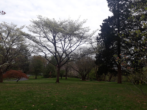 Nature Preserve «Woodend Sanctuary», reviews and photos, 8940 Jones Mill Rd, Chevy Chase, MD 20815, USA