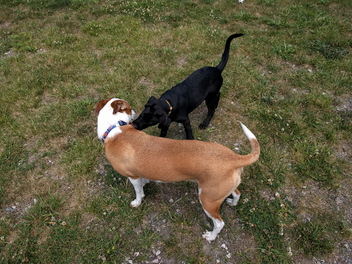 Pet Supply Store «Pequannock Feed & Pet Supply», reviews and photos, 85 Marshall Hill Rd, West Milford, NJ 07480, USA