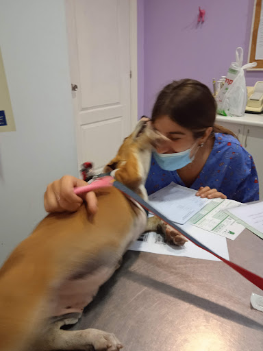 Clínica Veterinaria Animal's en Motril