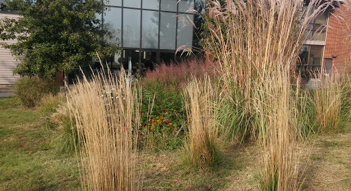 Non-Profit Organization «City Union Mission», reviews and photos