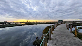 Cais da Ribeira de Esgueira