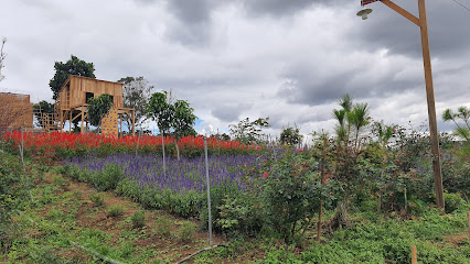 An Khuê Farmhouse