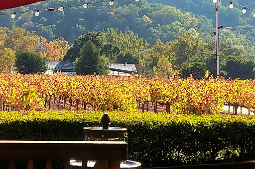 Winery «Solis Winery», reviews and photos, 3920 Hecker Pass Rd, Gilroy, CA 95020, USA