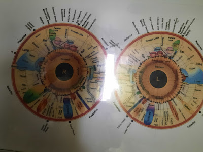 Iridologie à Gap