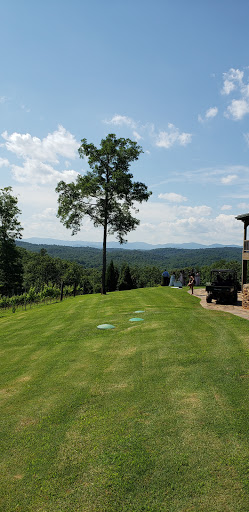 Wedding Venue «Blue Mountain Vineyards», reviews and photos, 184 Turkey Hl, Dahlonega, GA 30533, USA