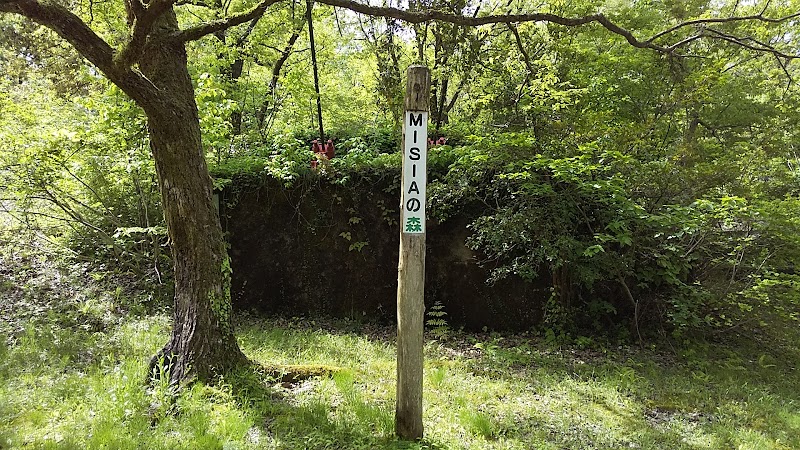 石川県森林公園 MISIAの森