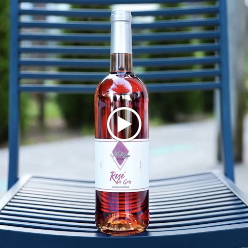 Winery «Bel Lago Vineyards & Winery», reviews and photos, 6530 S Lake Shore Dr, Cedar, MI 49621, USA