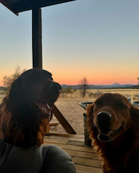 Cozytails Pet And Home Care - Photo 3 - Car repair in , Medford