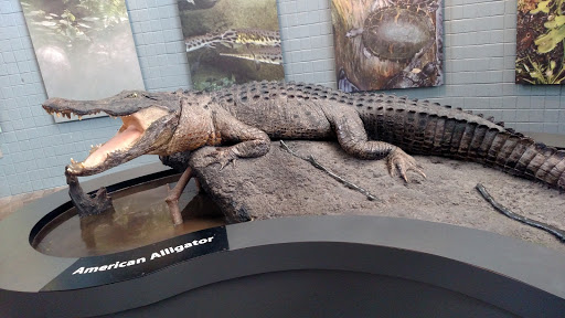 Aquarium «North Carolina Aquarium At Fort Fisher», reviews and photos, 900 Loggerhead Rd, Kure Beach, NC 28449, USA
