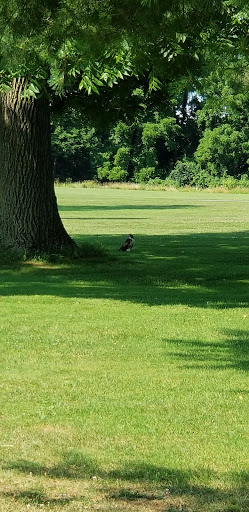 Golf Club «Briarwood Golf Club», reviews and photos, 4775 West Market Street, York, PA 17408, USA