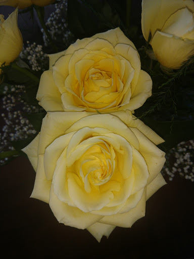 Florist «Flowerama», reviews and photos, 1676 Lexington Pkwy N, St Paul, MN 55117, USA