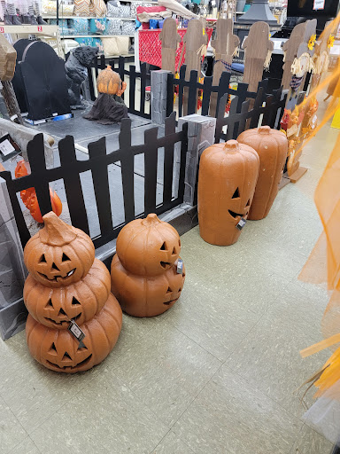 Discount Store «Big Lots», reviews and photos, 924 N Main St, Suffolk, VA 23434, USA