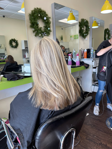 Hair Salon «Lemon Tree, Your Family Hair Salon», reviews and photos, 411 Furrows Rd #3, Holbrook, NY 11741, USA