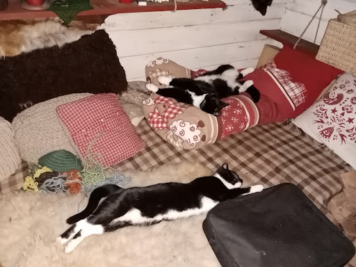 Doris Lüßen vet unter Oberhausen, 