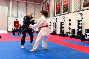 Universal Judo Academies image