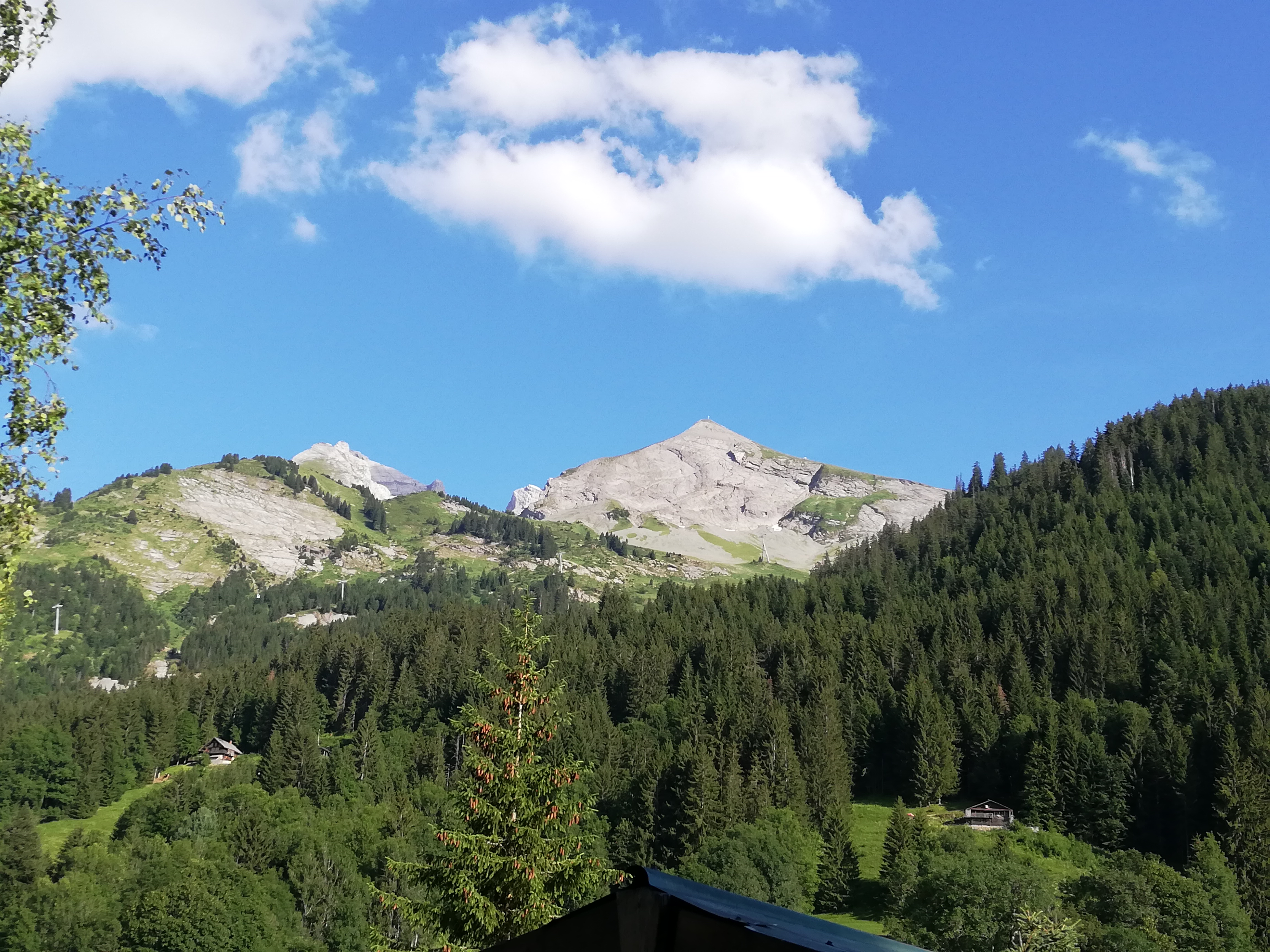 Photo n° 1 de l'avis de Carine.5 fait le 15/04/2020 à 21:14