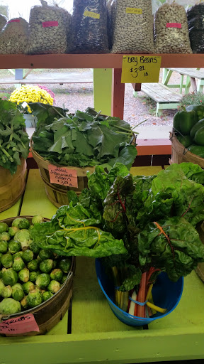 Produce Market «Poor Boys Produce & Vegetable», reviews and photos, 263 US-158, Camden, NC 27921, USA