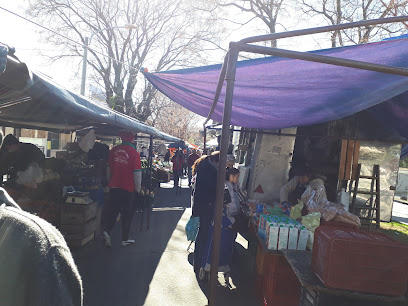 Mercado Castelar 'El Indio'