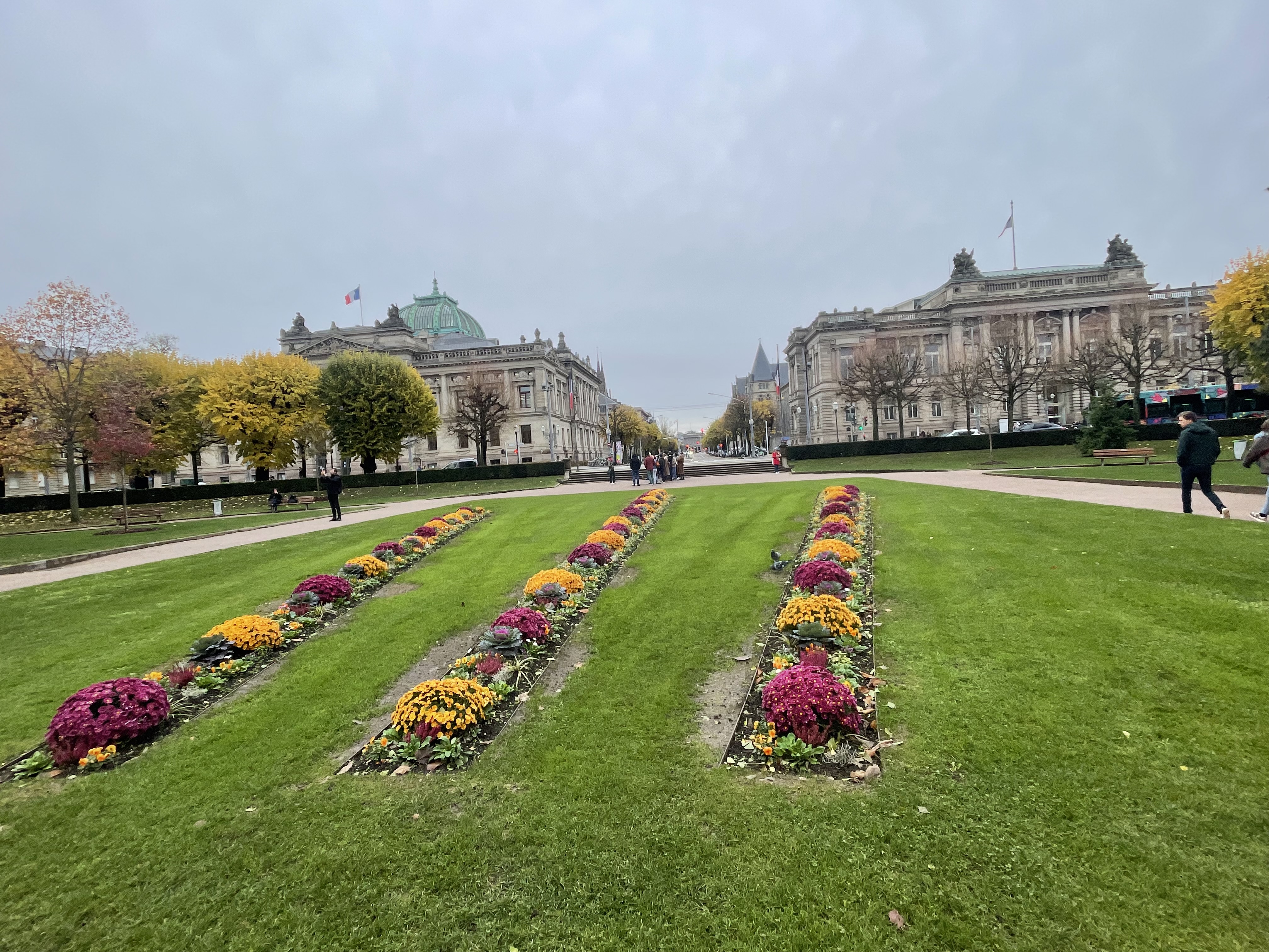 Photo n° 1 de l'avis de Georg.c fait le 20/11/2023 à 20:37