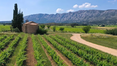 Domaine Saint-Pancrace à Puyloubier