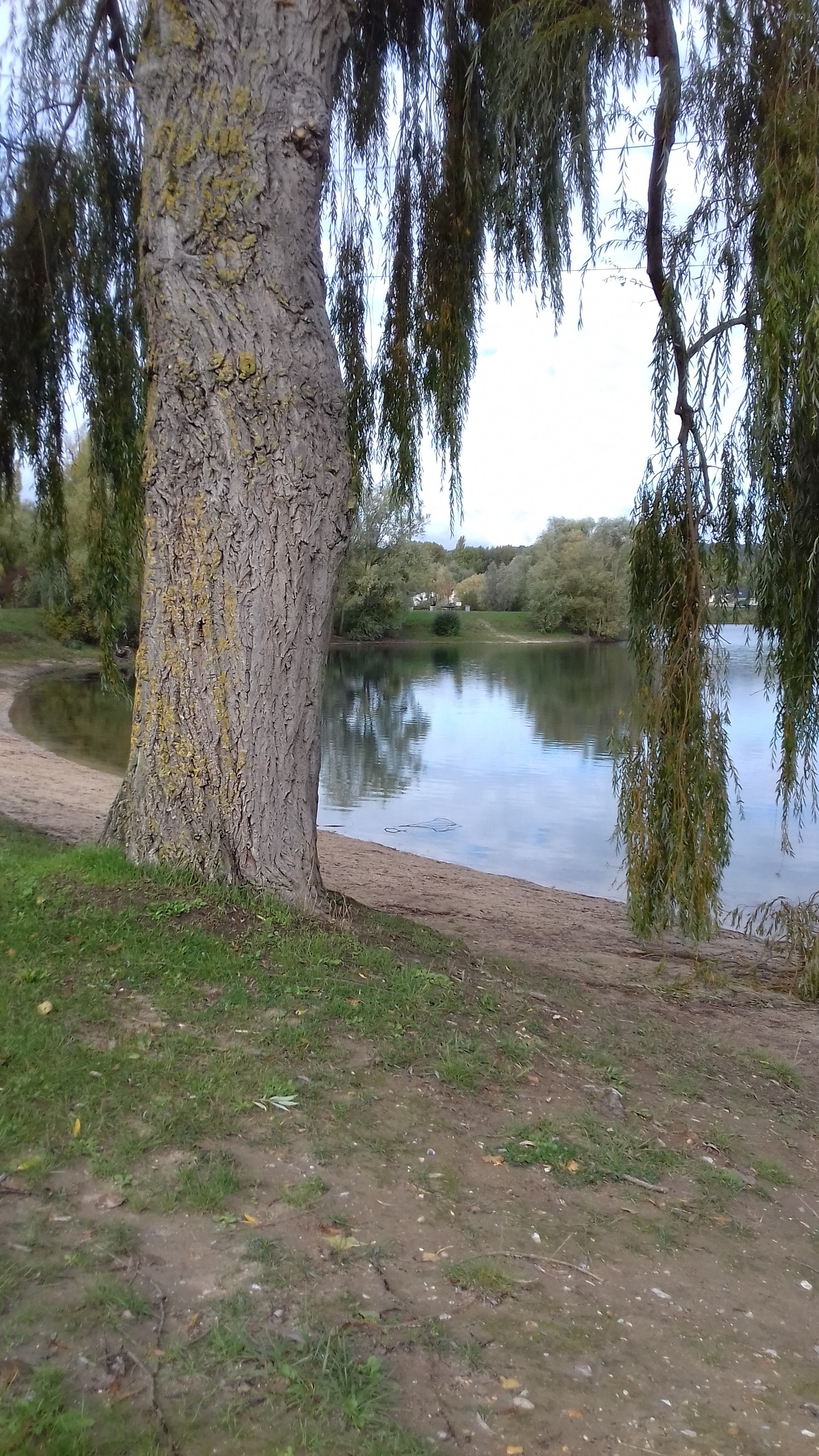 Photo n° 4 de l'avis de Catherine.o fait le 17/10/2019 à 12:05