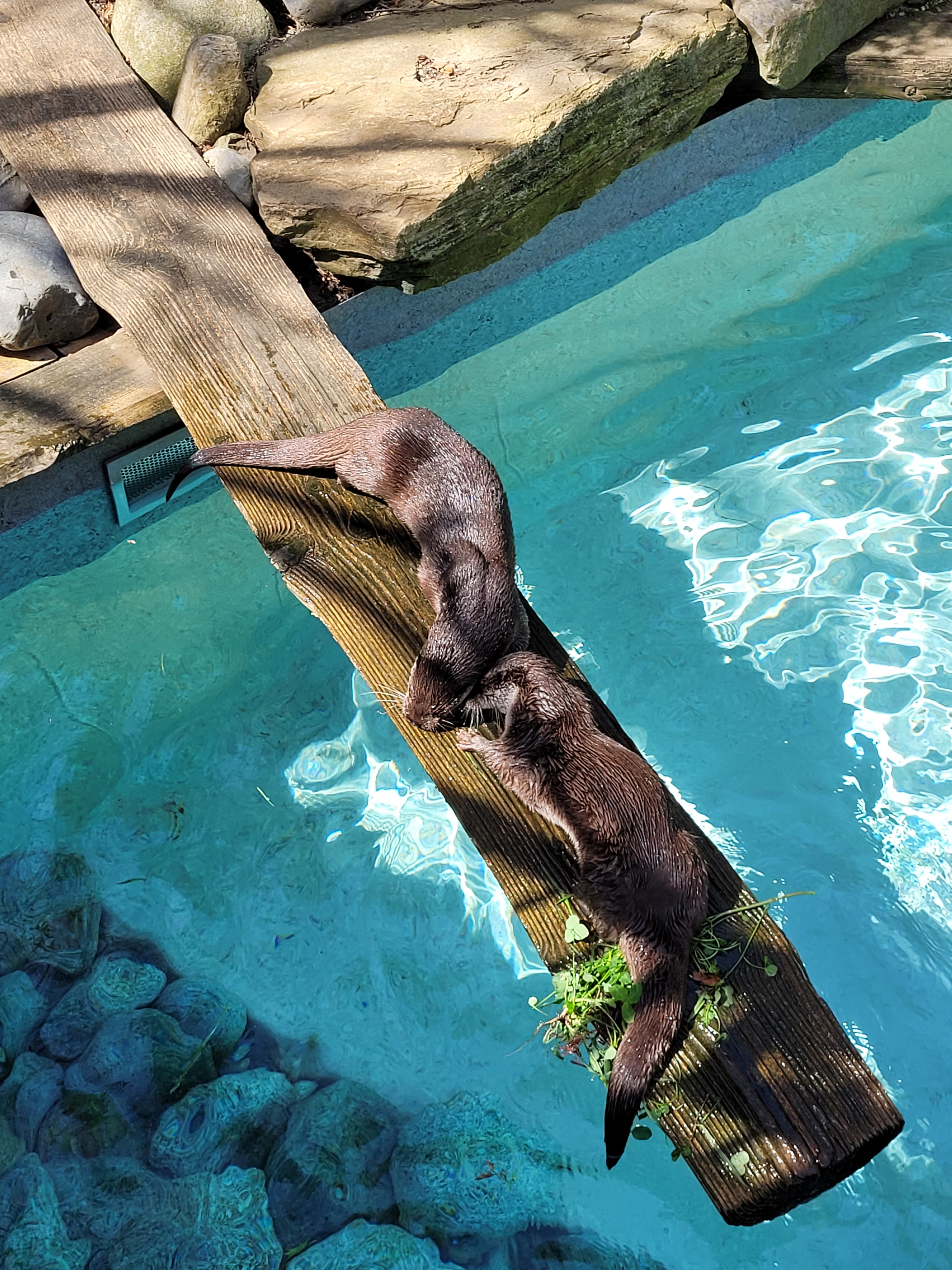 Photo n° 6 de l'avis de krystalita.t fait le 06/05/2023 à 15:24