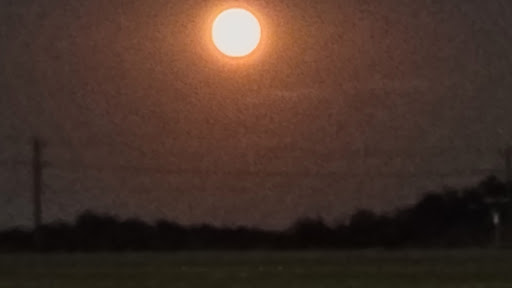 Park «Harold Bacchus Community Park», reviews and photos, 13995 Main St, Frisco, TX 75034, USA