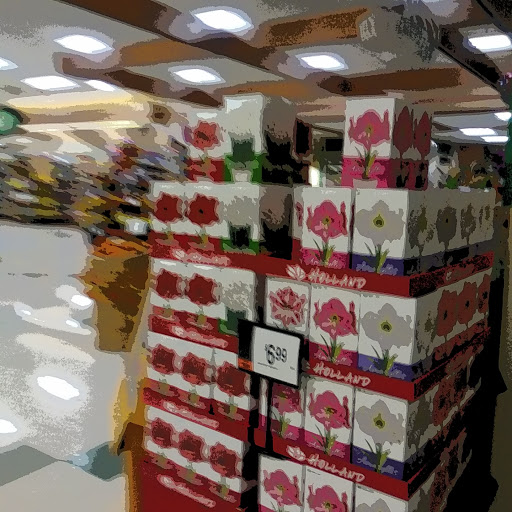 Grocery Store «Super Stop & Shop», reviews and photos, 228 King St, Northampton, MA 01060, USA