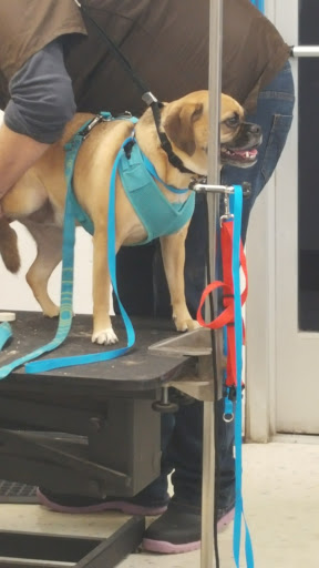 Pet Supply Store «Petco Animal Supplies», reviews and photos, 2373 W Ridge Rd, Greece, NY 14626, USA