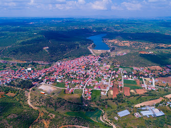 Kızılcasöğüt Belediyesi