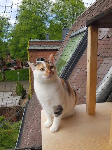 Peter Stechmann unter Rendsburg, Schleswig-Holstein