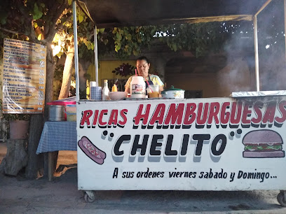 Hamburguesas Chelito - C. Cuauhtemoc 10, San Isidro, 35156 Cd Lerdo, Dgo., Mexico