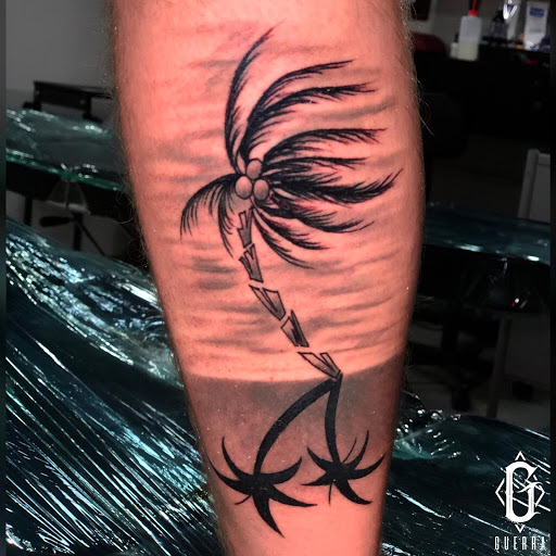 Tattoo Shop «Artefex Tattoo Studio», reviews and photos, 527 SW 12th Ave, Miami, FL 33130, USA