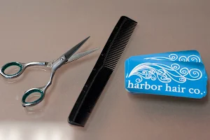Harbor Hair Company image