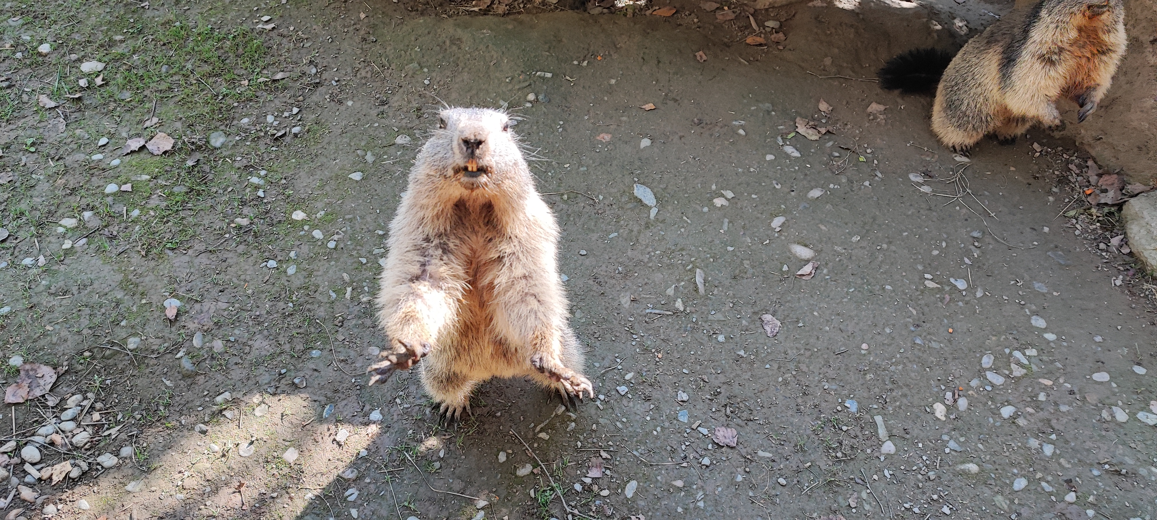 Photo n° 35 de l'avis de Thierry.i fait le 28/09/2023 à 17:40