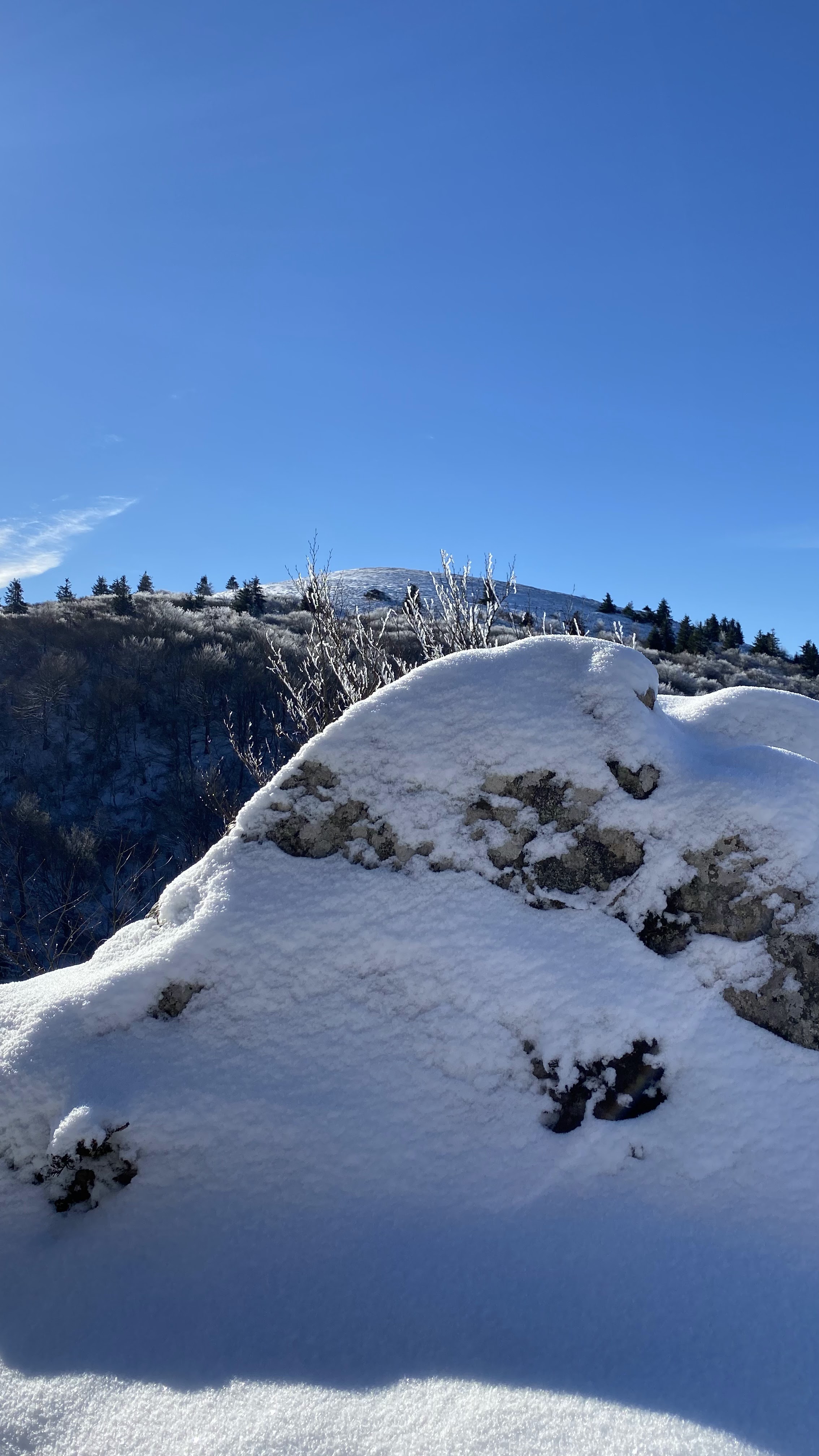 Photo n° 35 de l'avis de Michel.o fait le 12/01/2022 à 18:09