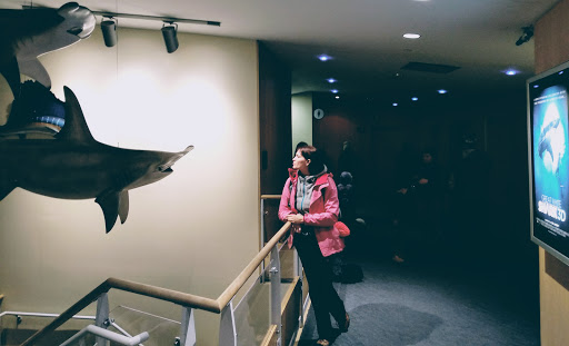 Imax Theater «Simons IMAX Theater», reviews and photos, 1 Central Wharf, Boston, MA 02110, USA