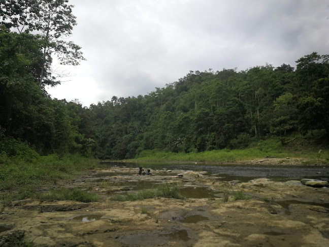 Reserva ecológica Mache-Chindul - El Ideal